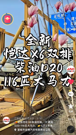 全新愷達X6柴油雙排，德威D20-116匹大馬力。